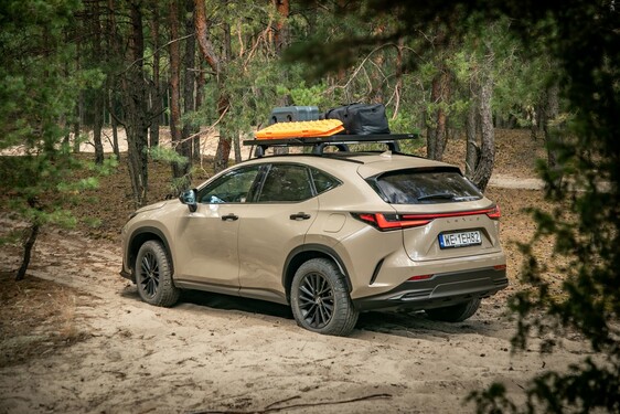 Lexus NX 2022