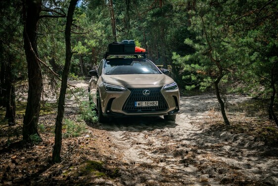 Lexus NX 2022