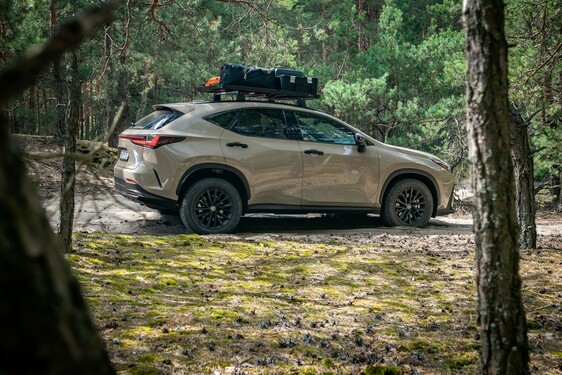 Lexus NX 2022