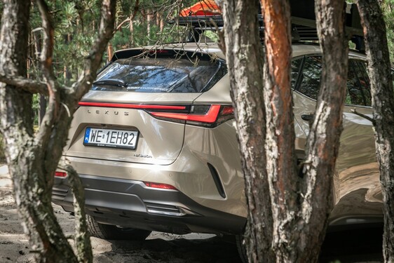 Lexus NX 2022