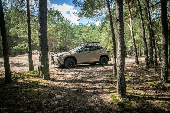 Lexus NX 2022