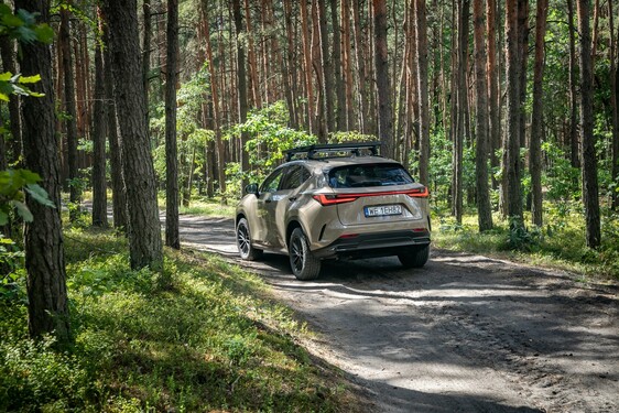 Lexus NX 2022