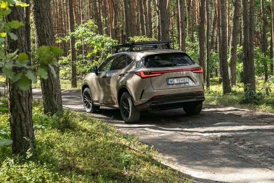 Lexus NX 2022