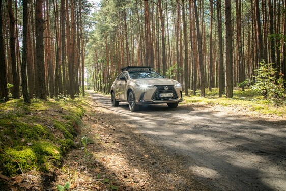 Lexus NX 2022