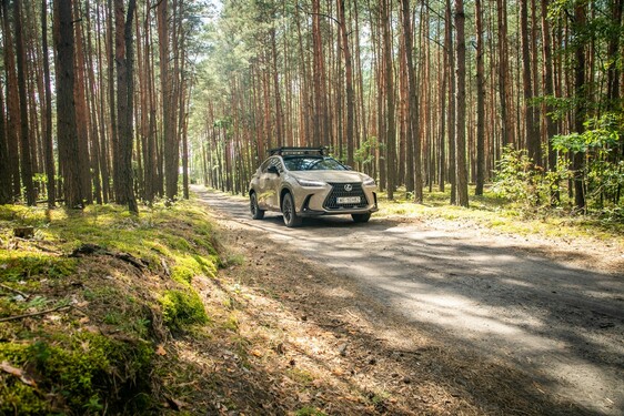 Lexus NX 2022