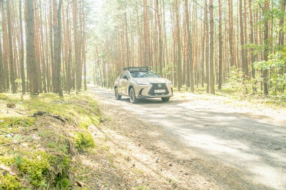 Lexus NX 2022