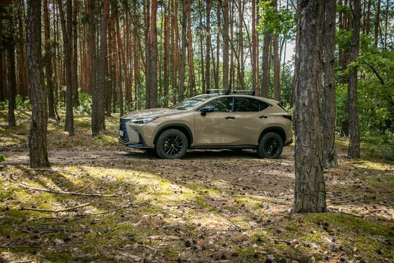 Lexus NX 2022
