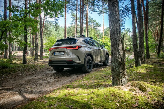 Lexus NX 2022