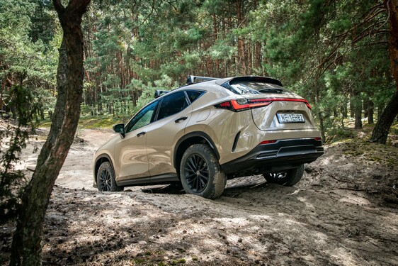 Lexus NX 2022