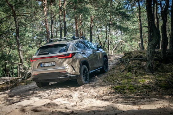 Lexus NX 2022