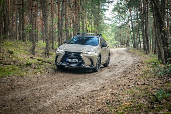 Lexus NX 2022