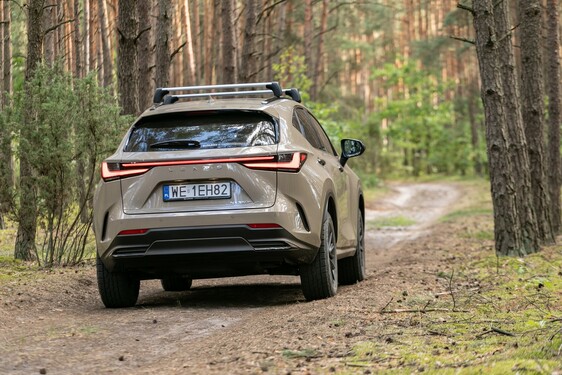 Lexus NX 2022