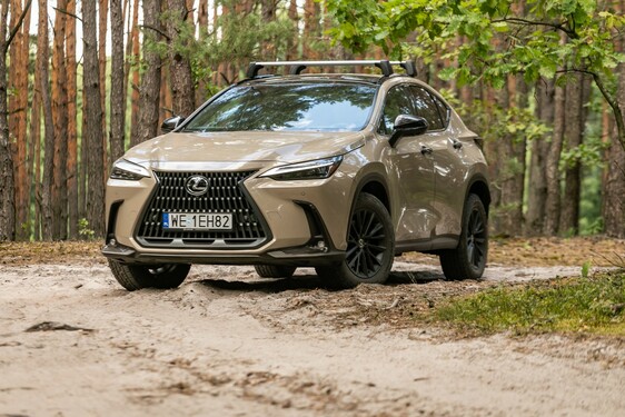 Lexus NX 2022