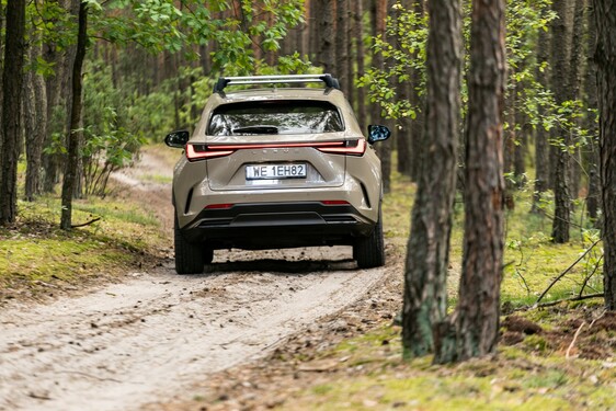 Lexus NX 2022