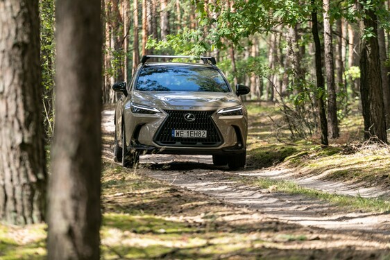 Lexus NX 2022