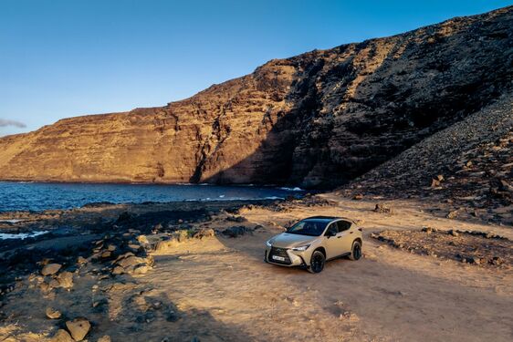 Lexus NX 2022