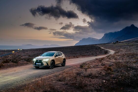 Lexus NX 2022
