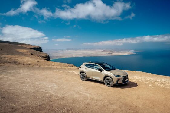 Lexus NX 2022