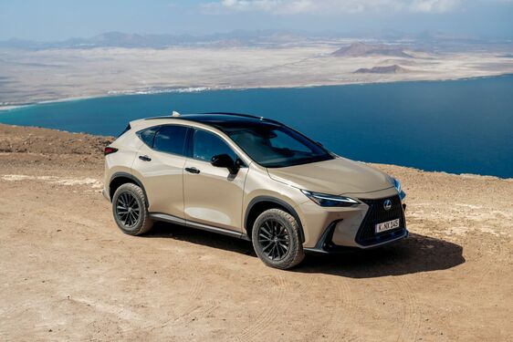 Lexus NX 2022