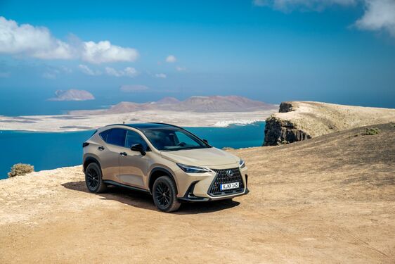 Lexus NX 2022