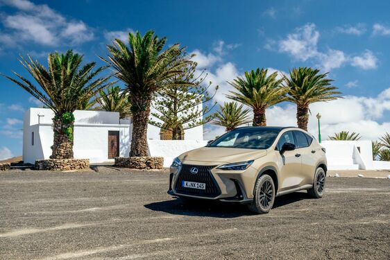 Lexus NX 2022