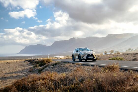 Lexus NX 2022