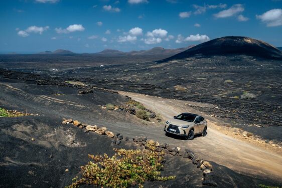 Lexus NX 2022