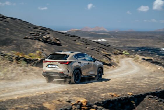 Lexus NX 2022