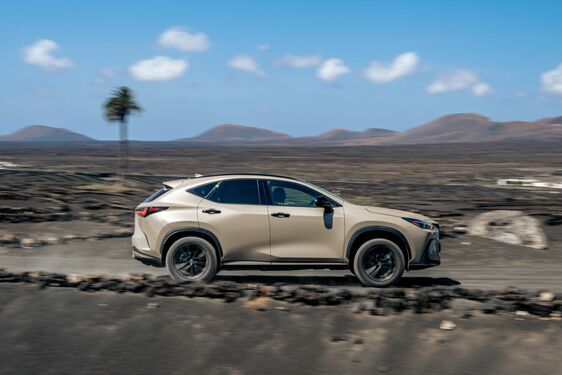 Lexus NX 2022