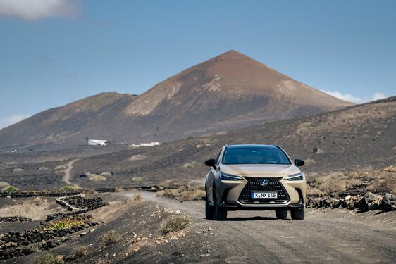 Lexus NX 2022