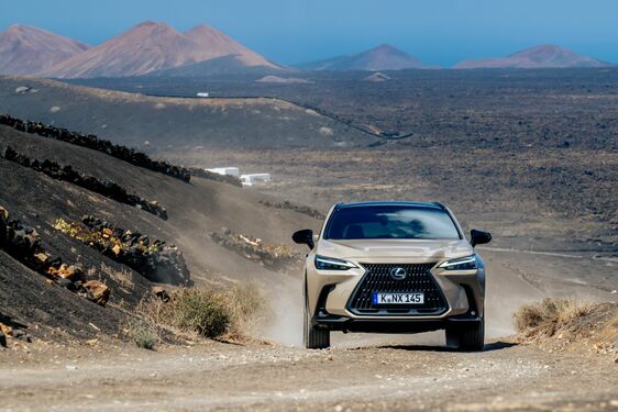 Lexus NX 2022