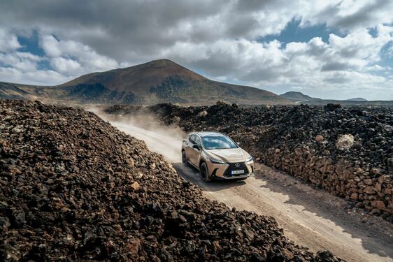 Lexus NX 2022
