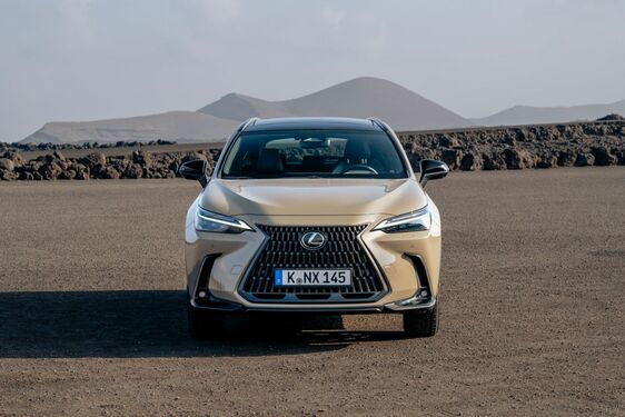 Lexus NX 2022