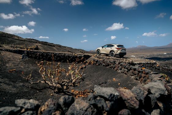 Lexus NX 2022
