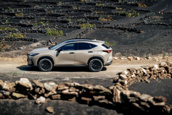 Lexus NX 2022