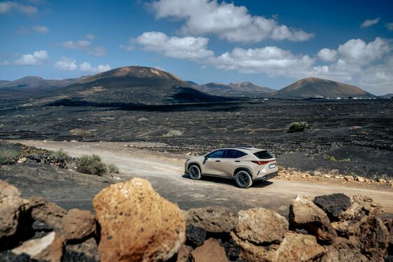 Lexus NX 2022