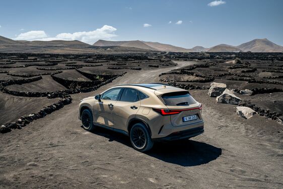 Lexus NX 2022