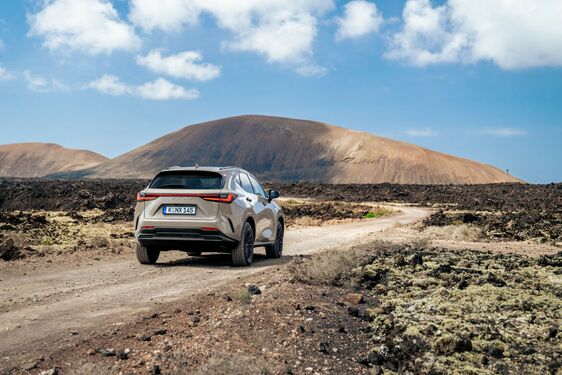 Lexus NX 2022