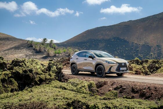 Lexus NX 2022