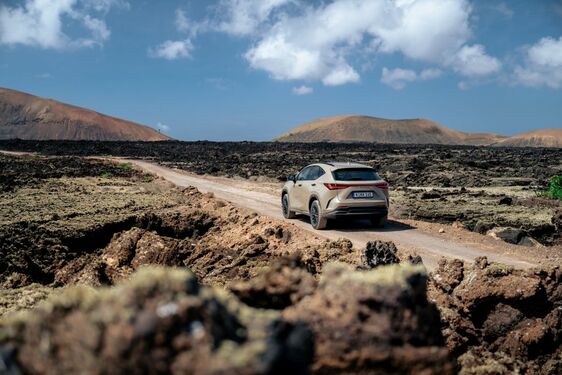 Lexus NX 2022