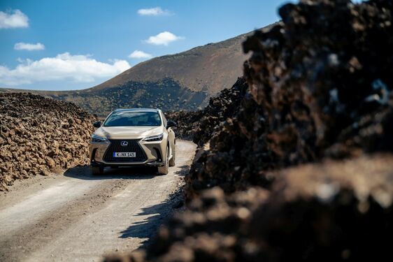 Lexus NX 2022