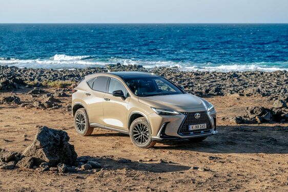 Lexus NX 2022