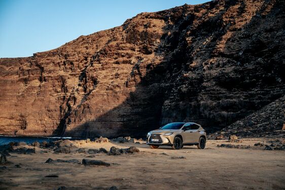 Lexus NX 2022