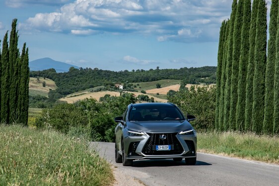 Lexus NX 2022