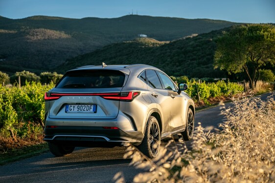 Lexus NX 2022
