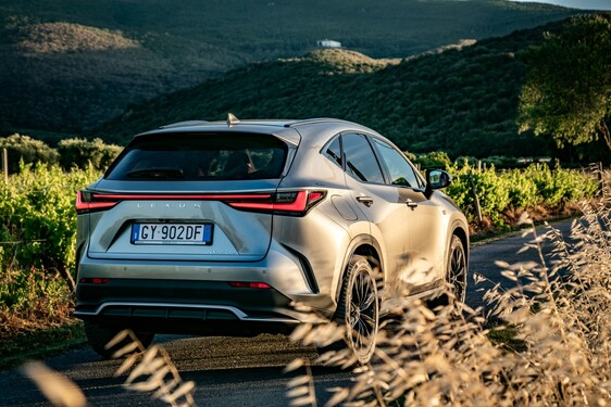 Lexus NX 2022