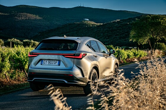 Lexus NX 2022