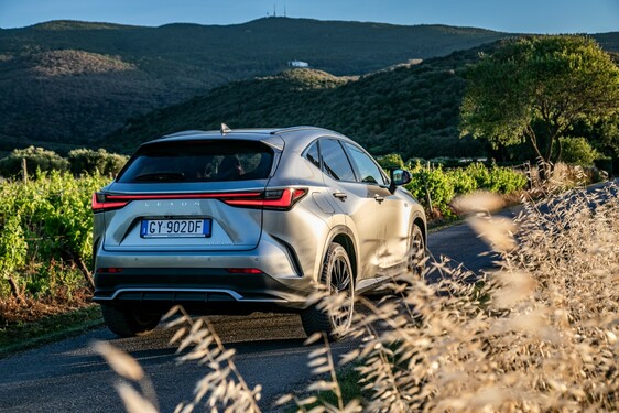 Lexus NX 2022
