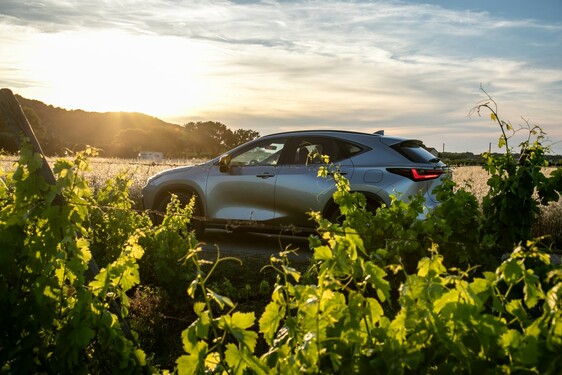Lexus NX 2022