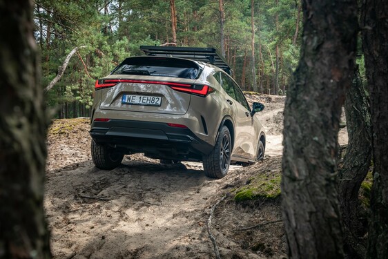 Lexus NX 2022